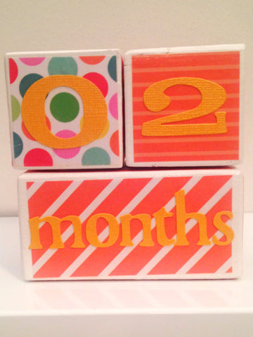 Nursery Photo Blocks- Orange Party