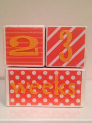 Nursery Photo Blocks- Orange Party