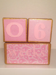 Nursery Photo Blocks- Royal Princess