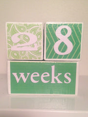 Nursery Photo Blocks- Green Tea