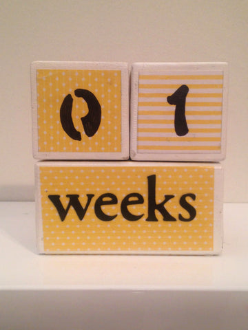 Nursery Photo Blocks- Sunshine