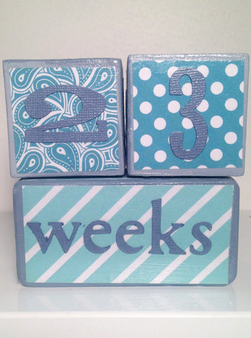 Nursery Photo Blocks- Aqua & Grey