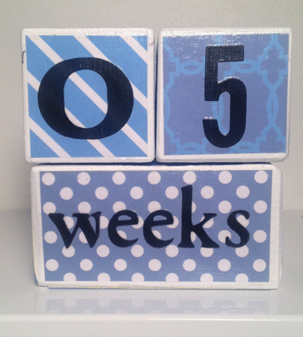 Nursery Photo Blocks- Baby Blue